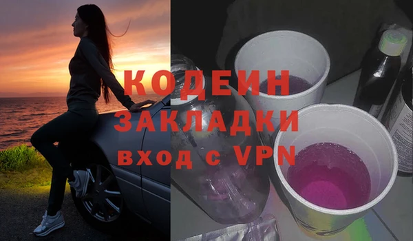 apvp Гусь-Хрустальный