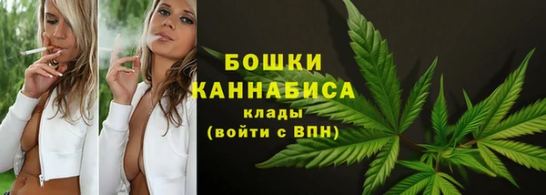 дживик Дмитриев