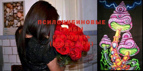 экстази Дмитров