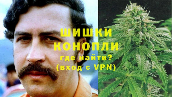 apvp Гусь-Хрустальный